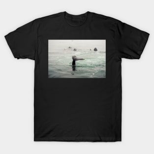 Whale Tail T-Shirt